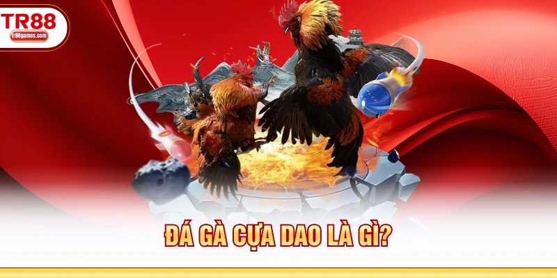 Đá gà cựa dao là gì?