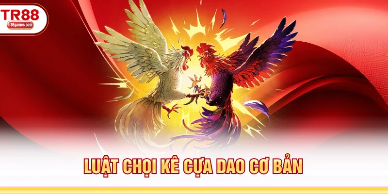 Luật chọi kê cựa dao cơ bản