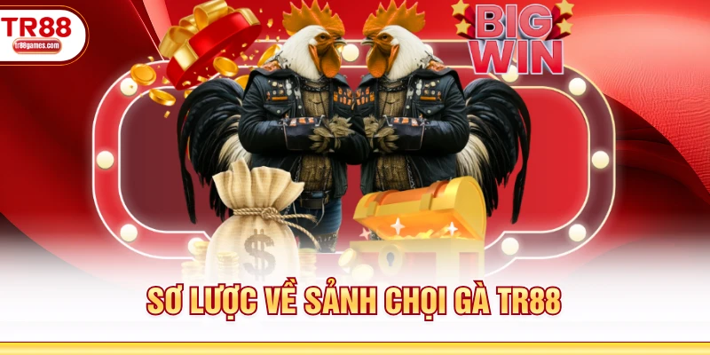 Sơ lược về sảnh chọi gà TR88