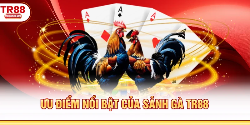 Ưu điểm nổi bật của sảnh gà TR88
