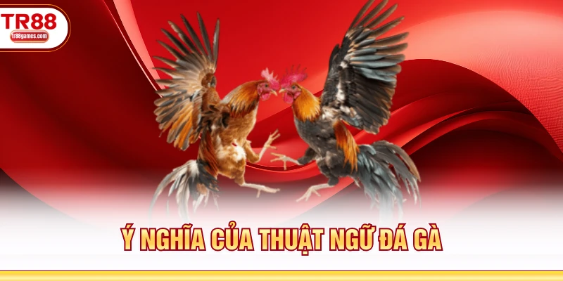Ý nghĩa của thuật ngữ đá gà